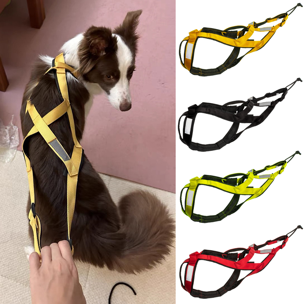 Reflective Jacket Running - High Quality Big Dog Sledge Harness