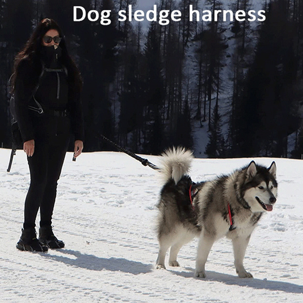 High Quality Big Dog Sledge Ha - огляд і ціна Reflective Jacket Running