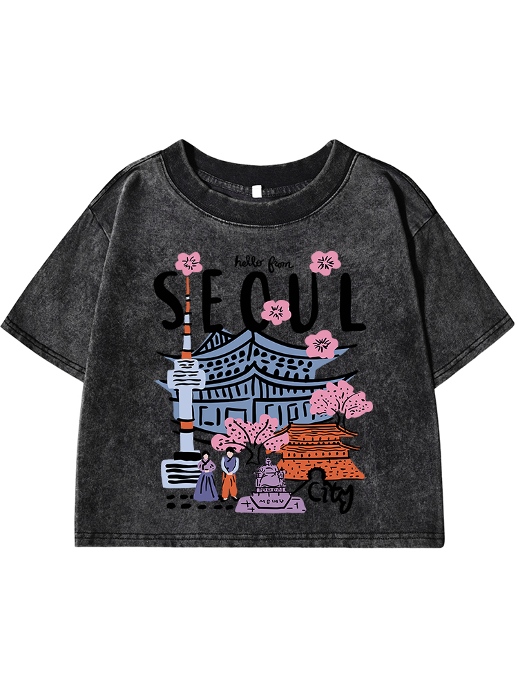 Seoul Beautiful Scenery Printi - огляд і ціна Street Fashion Of Seoul