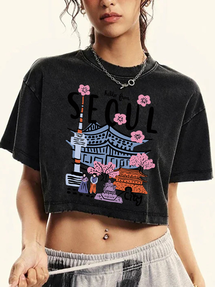 Seoul Beautiful Scenery Printi - огляд і ціна Street Fashion Of Seoul